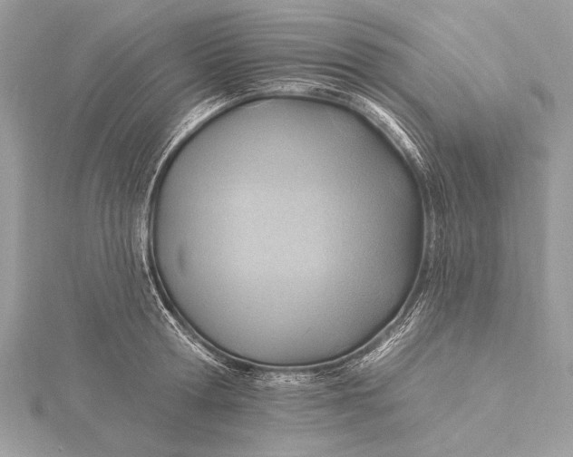 X0000115790802200912041511