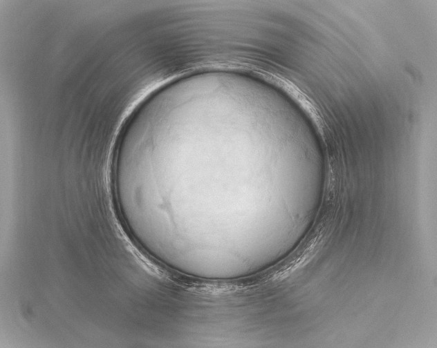 X0000115790803200912041511