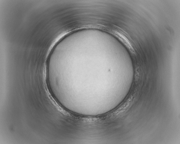 X0000115790804200912041511