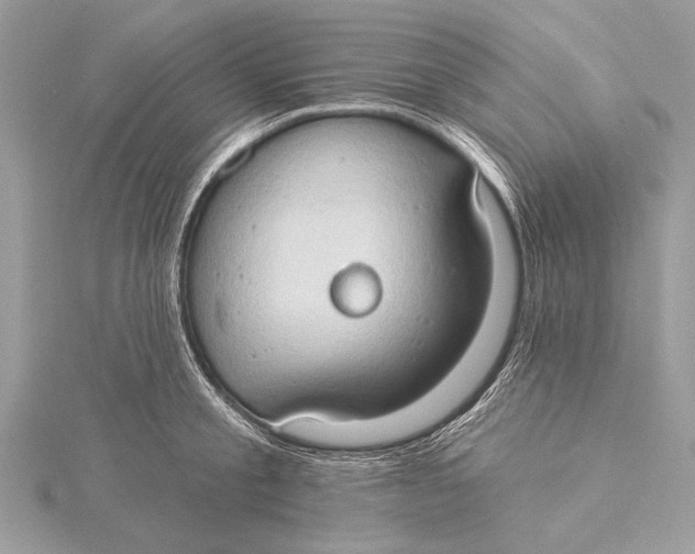 X0000115790805200912041511