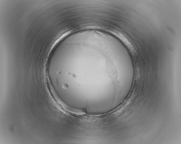 X0000115790806200912041511