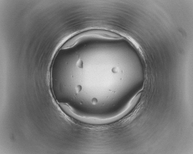 X0000115790807200912041511