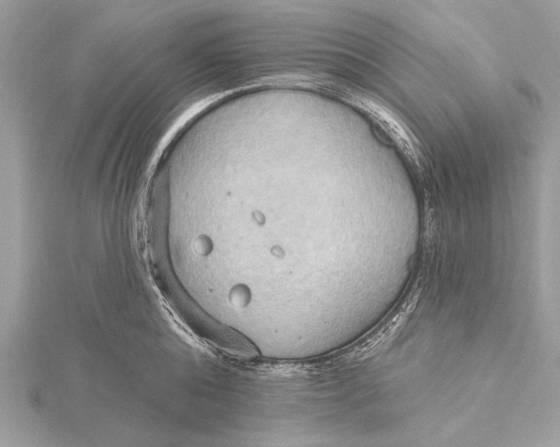 X0000115790808200912041511