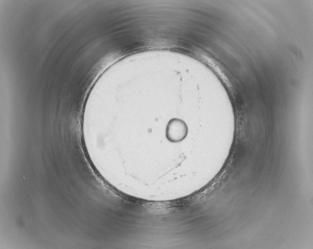 X0000115790810200912041511