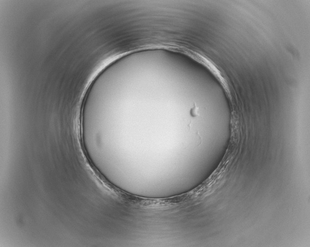 X0000115790811200912041511