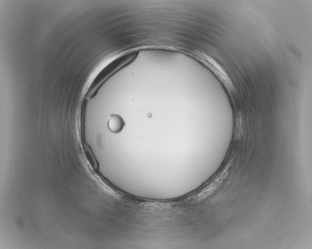 X0000115790812200912041511