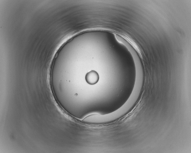 X0000115790813200912041511