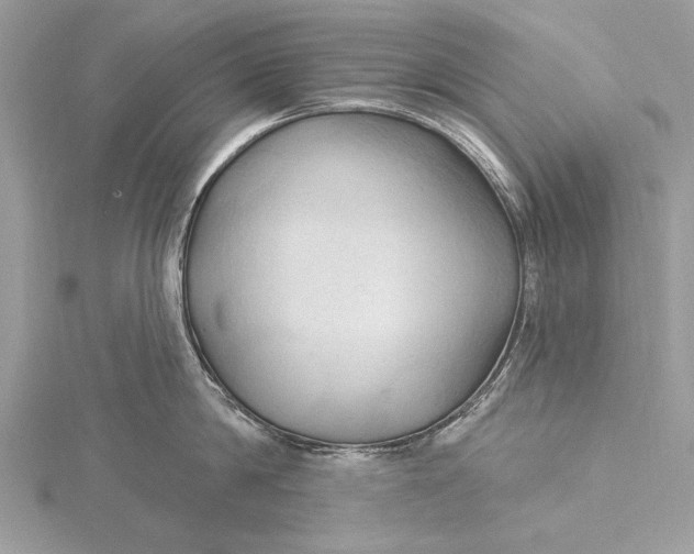 X0000115790814200912041511