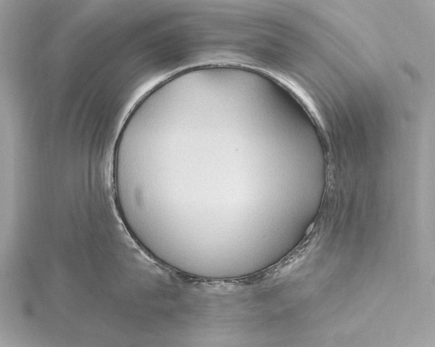 X0000115790815200912041511