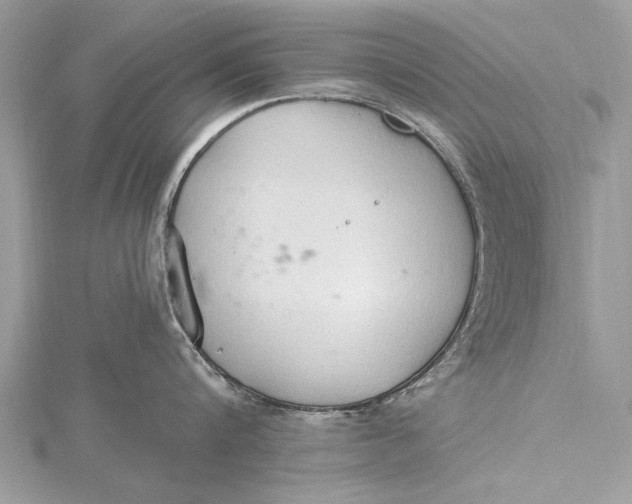 X0000115790816200912041511