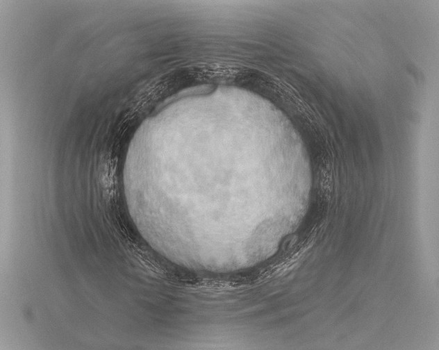 X0000115790818200912041510