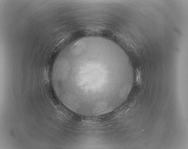 X0000115790819200912041510