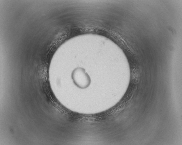 X0000115790820200912041510