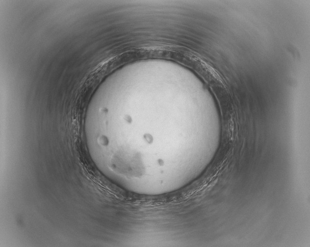 X0000115790821200912041510