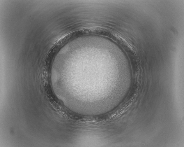 X0000115790822200912041510