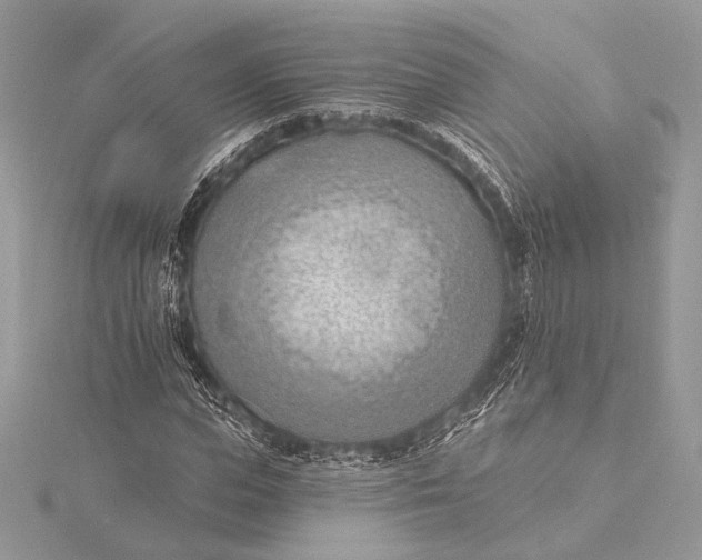 X0000115790823200912041510