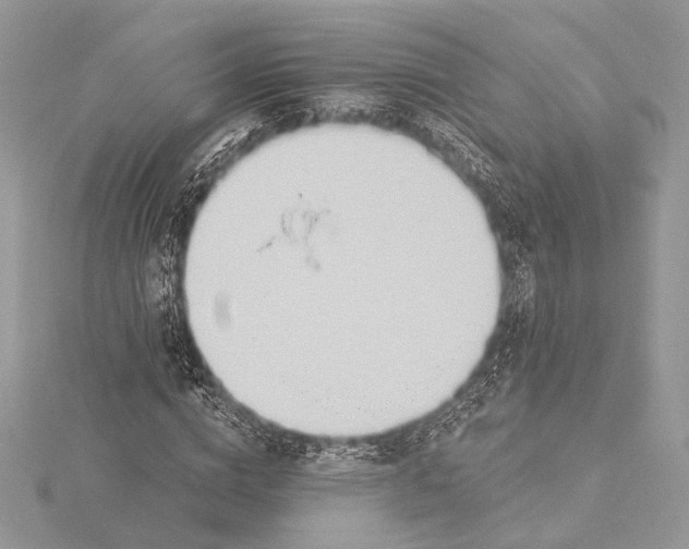 X0000115790824200912041510