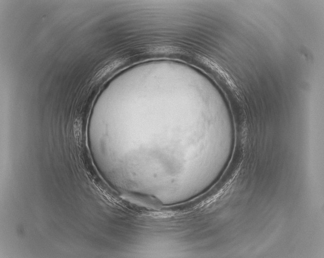 X0000115790825200912041510