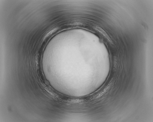 X0000115790826200912041510