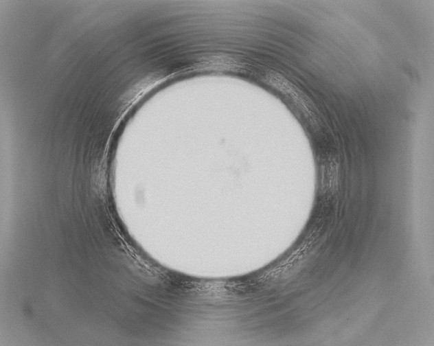 X0000115790828200912041510