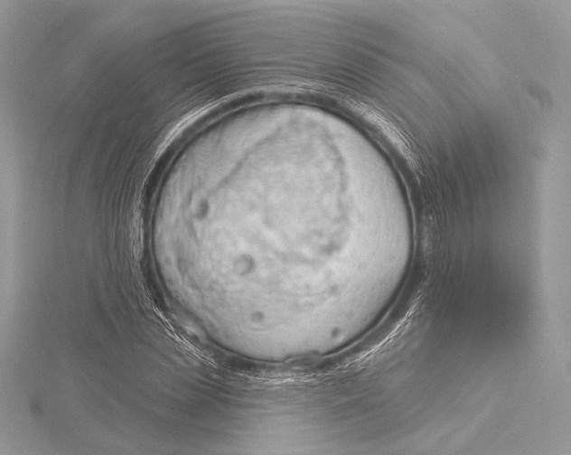 X0000115790829200912041510