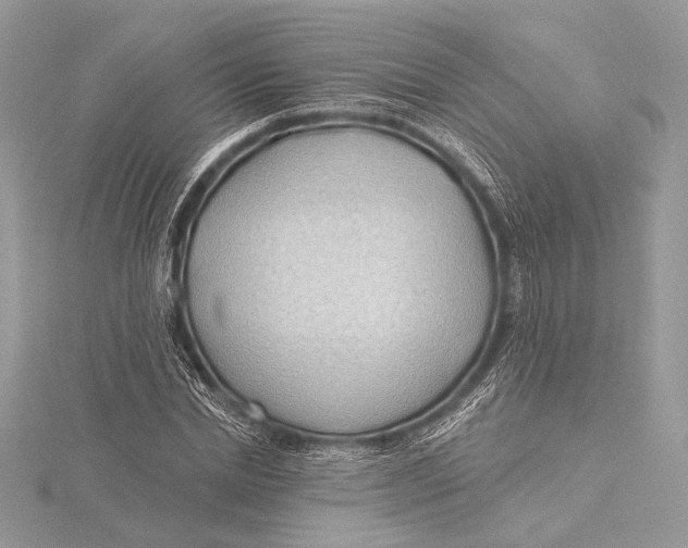 X0000115790830200912041510