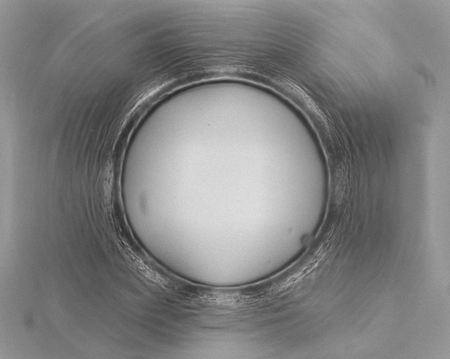 X0000115790831200912041510