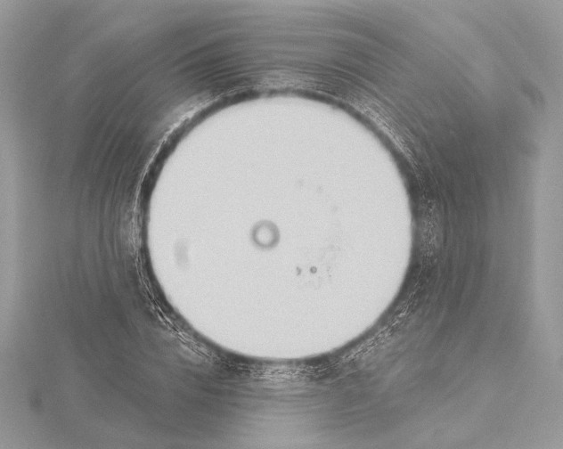 X0000115790832200912041511