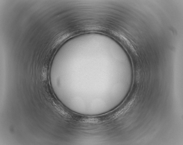 X0000115790833200912041511