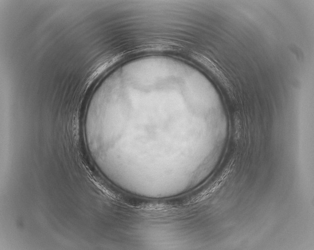 X0000115790834200912041511