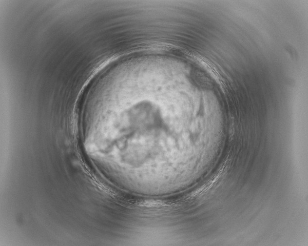 X0000115790835200912041511