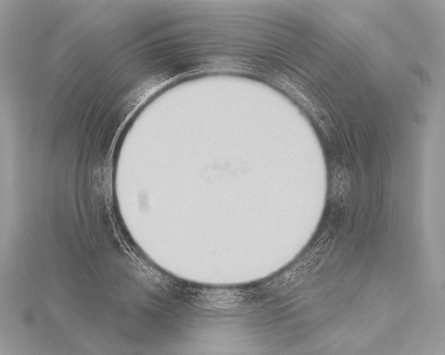 X0000115790836200912041511