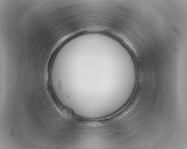 X0000115790837200912041511