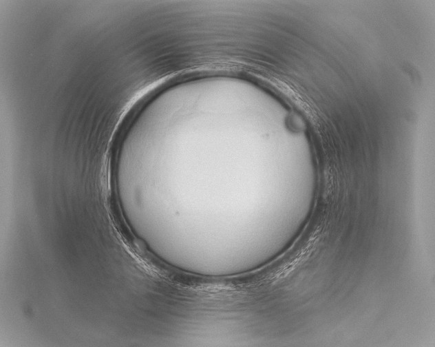 X0000115790838200912041511