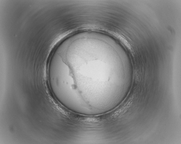 X0000115790839200912041511