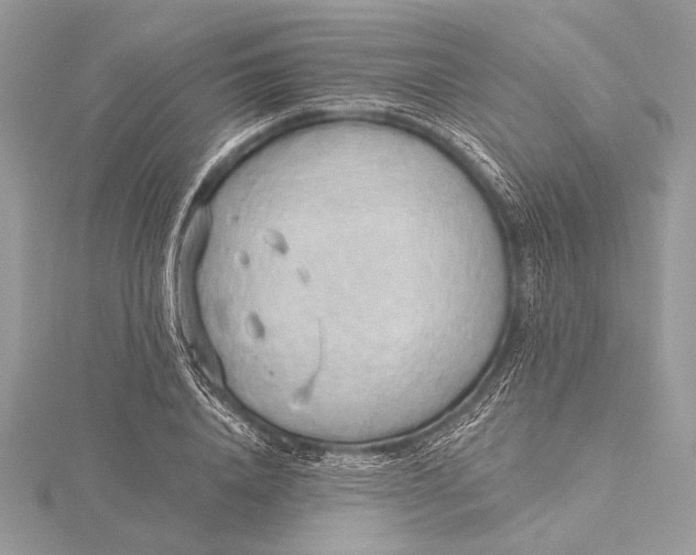 X0000115790840200912041511