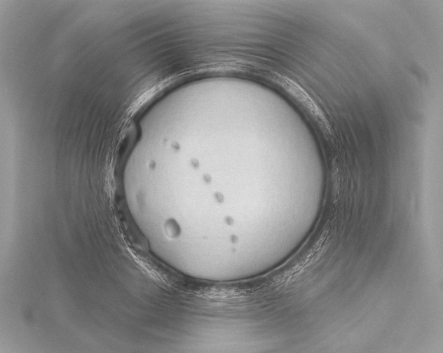 X0000115790842200912041511