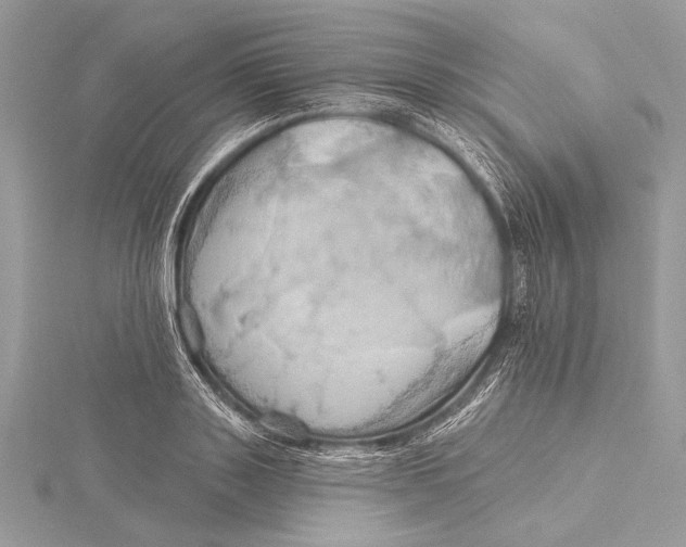 X0000115790843200912041511