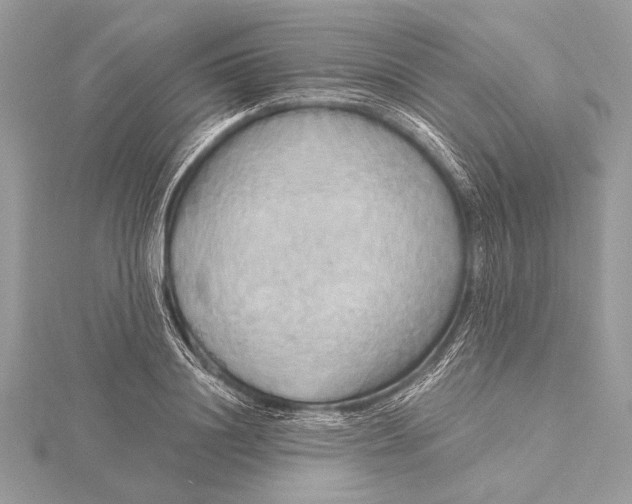 X0000115790844200912041511