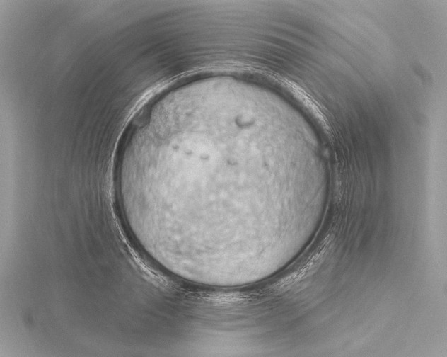 X0000115790845200912041511