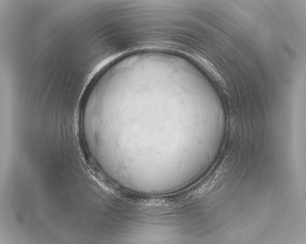 X0000115790846200912041511