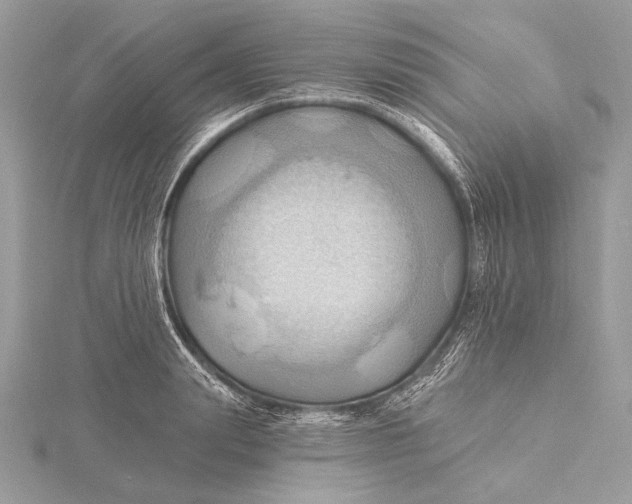 X0000115790847200912041511