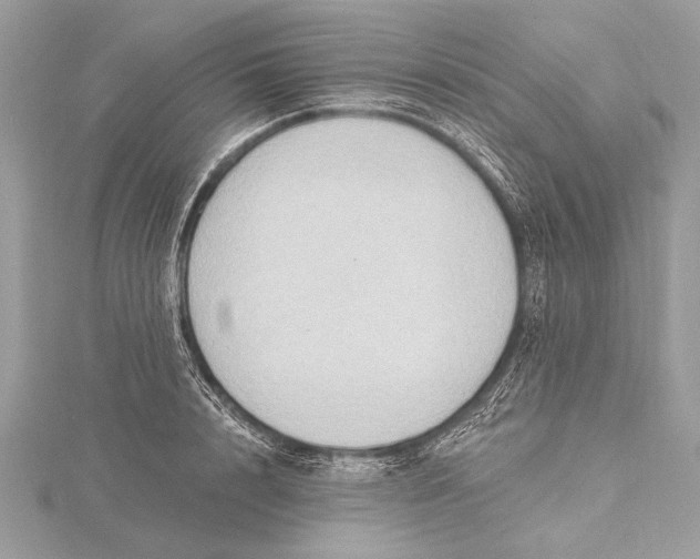 X0000115790848200912041511