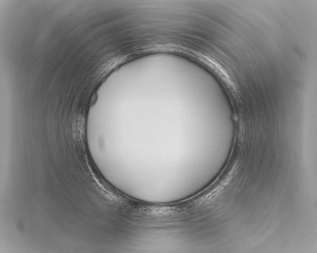 X0000115790849200912041511