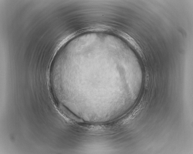 X0000115790850200912041511