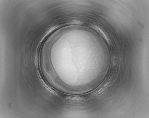 X0000115790851200912041511