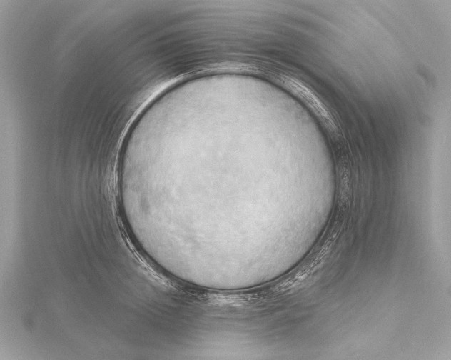 X0000115790852200912041511