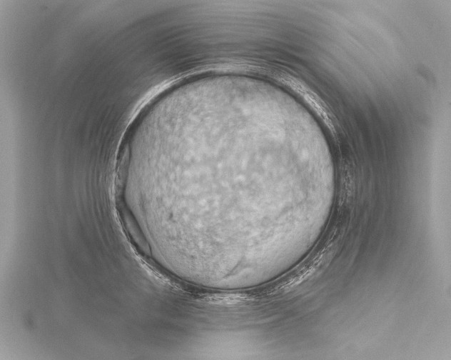 X0000115790853200912041511