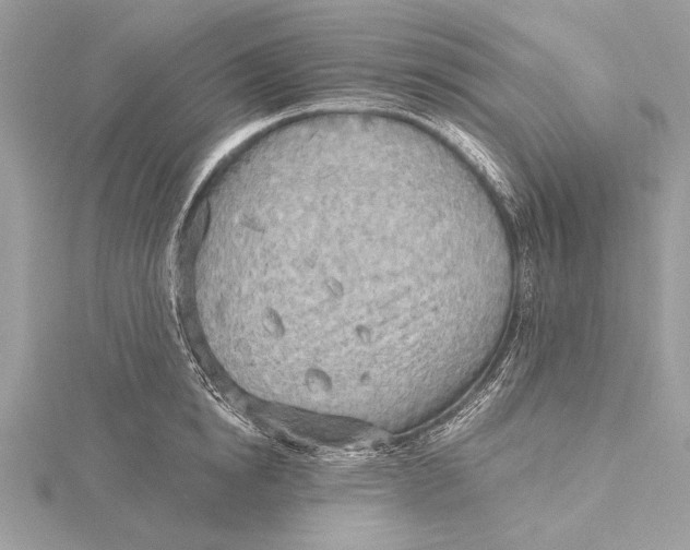 X0000115790854200912041511