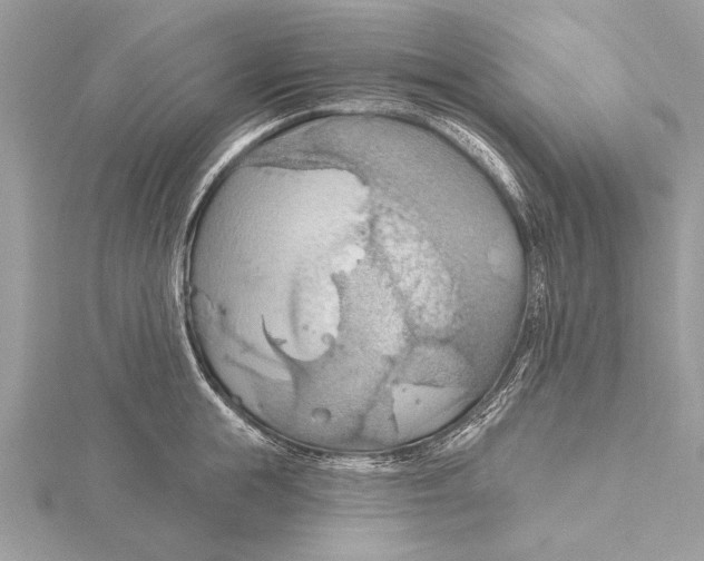 X0000115790855200912041511